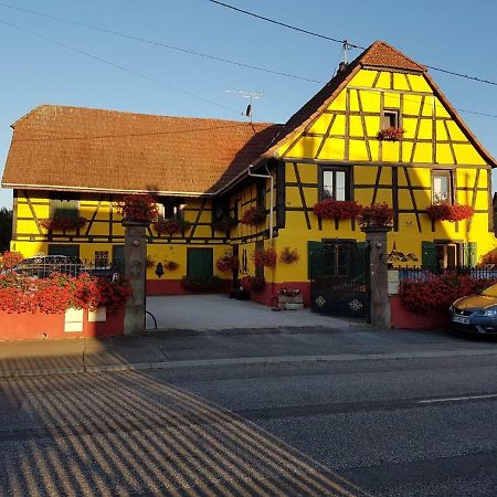 Maison Alsacienne A Andolsheim Appartement Buitenkant foto